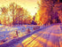 Amazing Snowy Street in Winter
